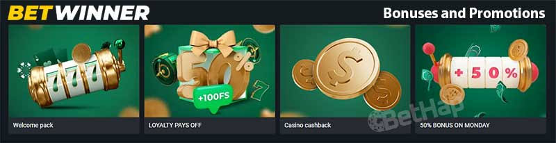 Discover BetWinner A Comprehensive Guide to the Leading Sportsbook Discover BetWinner A Comprehensive Guide to the Leading Sportsbook
