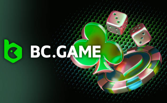 Exploring the Features and Benefits of the BC Platform App -232235354